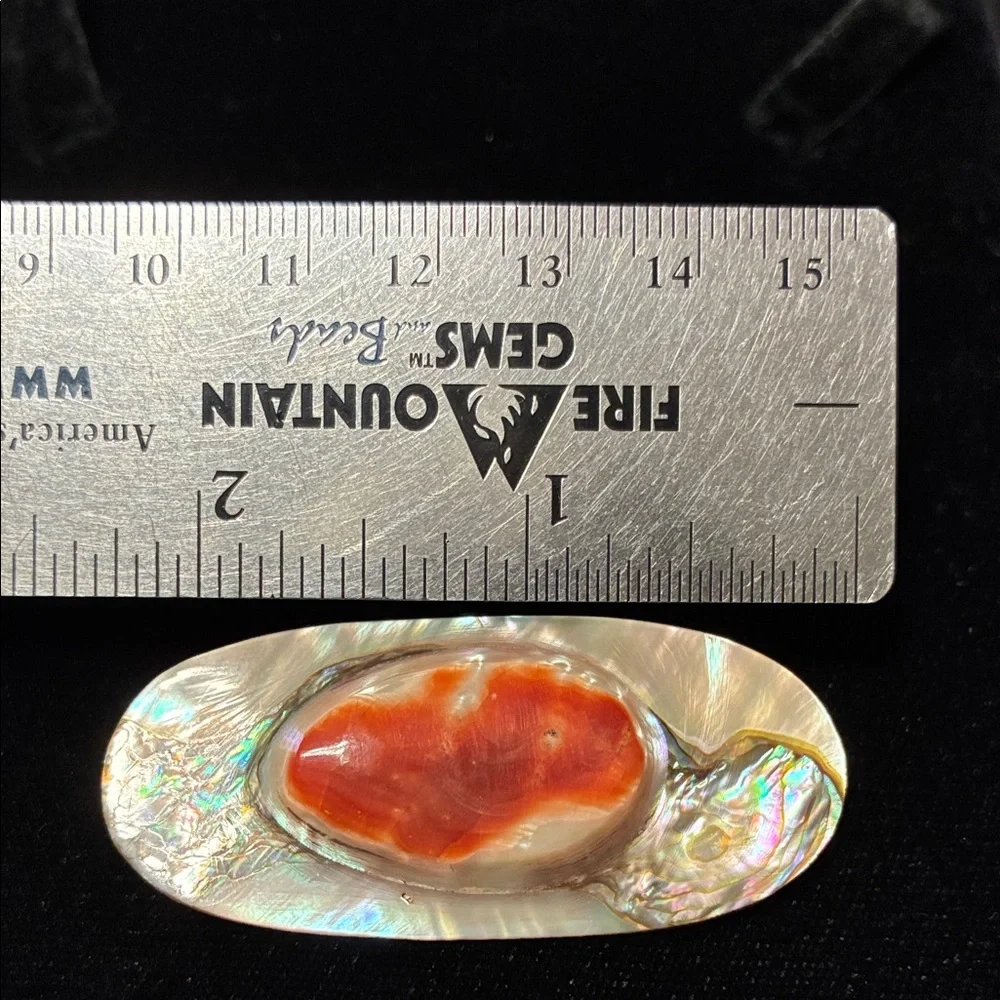 Vintage Iridescent Abalone Shell Brooch with Red Center